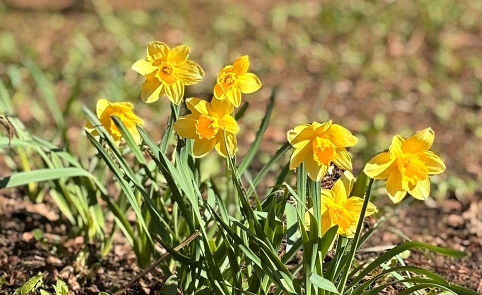 На субботник - соберись! - Новости